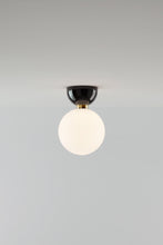 Load image into Gallery viewer, ABALLS A II PE