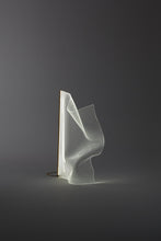 Load image into Gallery viewer, GWEILO QIN PE